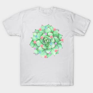 Decorated Succulent T-Shirt